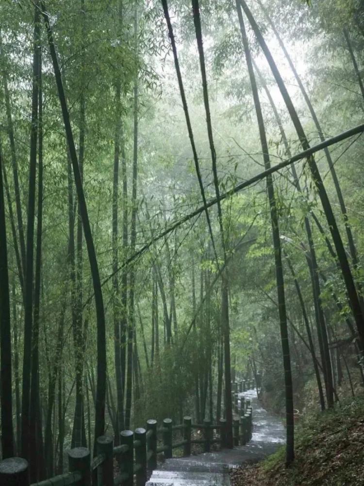 image.png 图片
