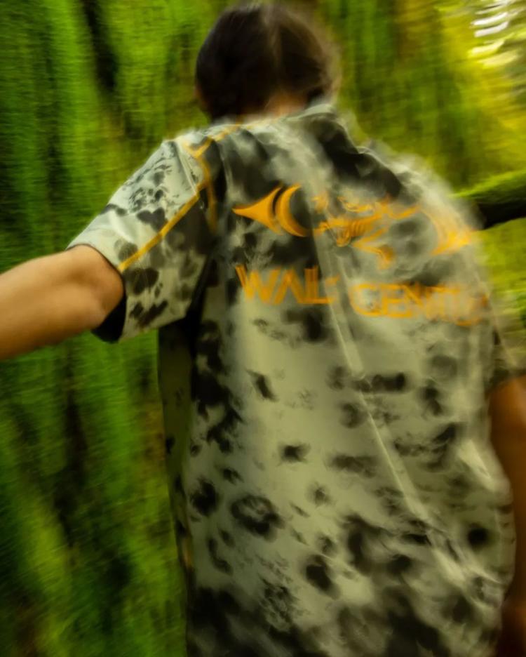 undefined 图片