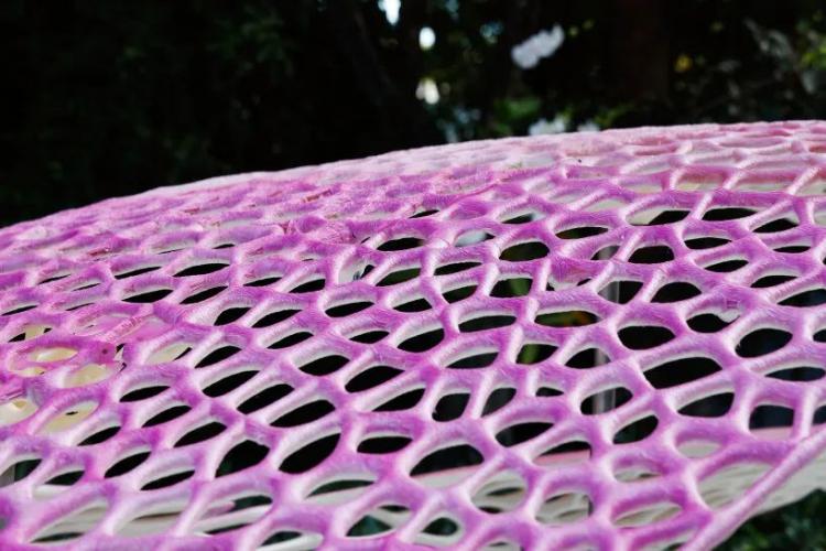 雷克萨斯 3D 打印汽车生产塑料 迈阿密艺术与设计周 2024