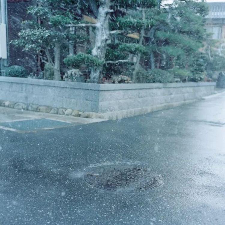 Cui-Cui_09_L-600x600.jpg