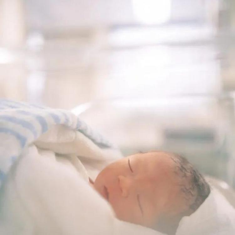 Cui-Cui_11_L-600x600.jpg