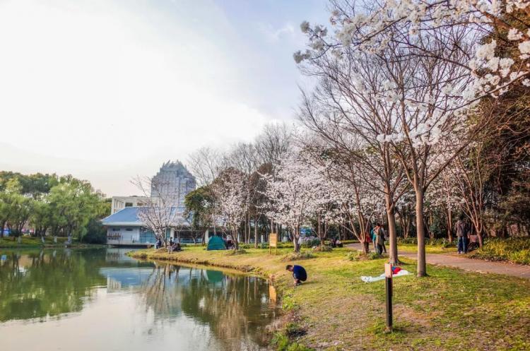 上海口袋公园建设凸显人性关怀凤凰网青岛_凤凰网