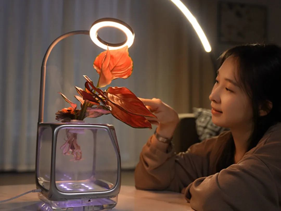 Izestee,绿植设备,多功能,照明,加湿器,