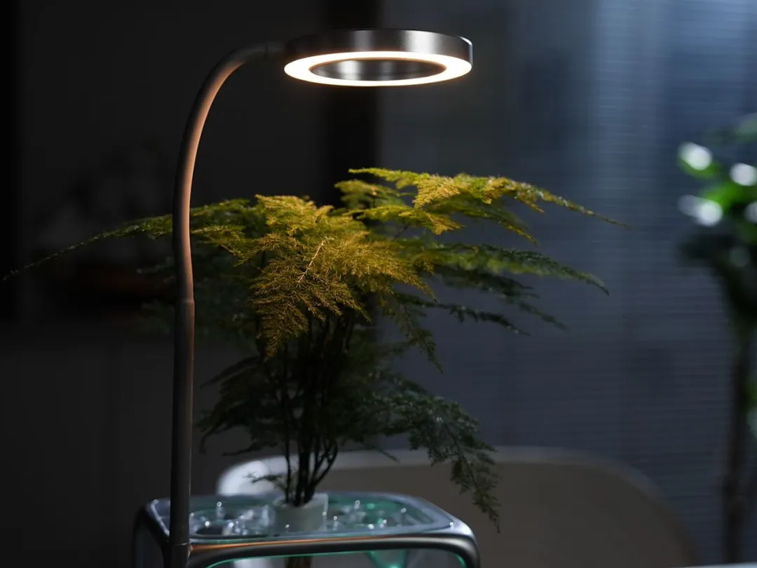 Izestee,绿植设备,多功能,照明,加湿器,