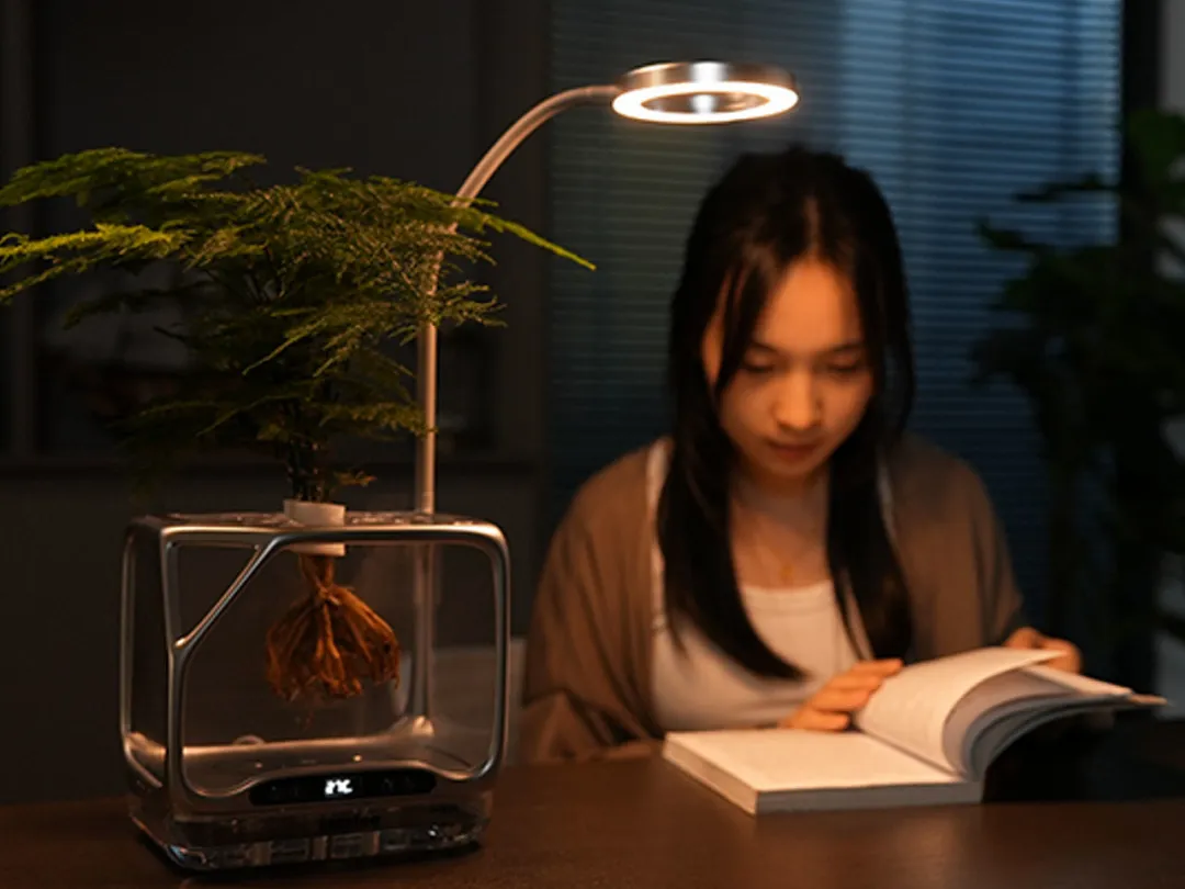 Izestee,绿植设备,多功能,照明,加湿器,