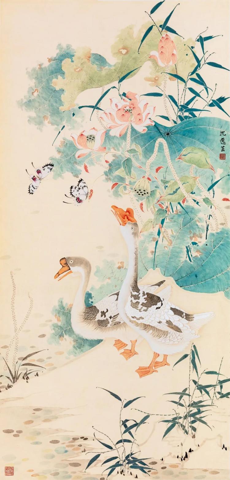 图片